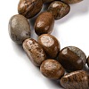 Natural Picture Jasper Beads Strands LS-G-G146-A01-01-4