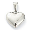 304 Stainless Steel Pendants X-STAS-P278-01D-P-2