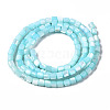 Natural Trochid Shell/Trochus Shell Bead Strands SSHEL-N034-77-C04-2