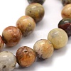 Natural Crazy Lace Agate Beads Strands G-G763-10-8mm-3