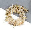 Natural Shell Pearl Beads Strands BSHE-H109-08-2