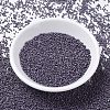 MIYUKI Delica Beads SEED-MY11-DB1174-2