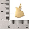 ack Plating Brass Enamel Charms KK-L220-017G-3