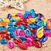 Cowrie Shell Beads SHEL-PH0001-05-4