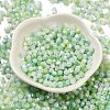 Baking Painted Glass Seed Beads SEED-C004-03E-2