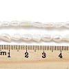 Natural Keshi Pearl Cultured Freshwater Pearl Beads Strands PEAR-P062-33-5