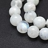 Natural Rainbow Moonstone Beads Strands G-I249-B04-03-3