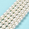 Natural Cultured Freshwater Pearl Beads Strands PEAR-E016-091-2