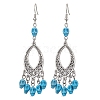 Halloween Skull Dyed Synthetic Turquoise & Alloy Dangle Earrings EJEW-JE05890-05-1