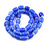 Handmade Lampwork Beads Strands LAMP-N023-004-02-5