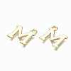 Alloy Charms PALLOY-Q441-025M-NR-3