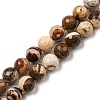 Natural Zebra Jasper Beads Strands G-C079-B01-02-1