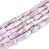 Anti-Tarnish Electroplate Glass Beads Strands GLAA-T025-27F-1