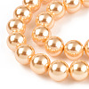 Glass Pearl Beads Strands HY-G002-01D-10-2