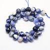 Natural Sodalite Beads Strands G-L149-12mm-01-2