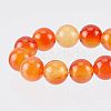 Olycraft 1 Strand Natural Red Agate Beads Strands G-OC0001-92B-3