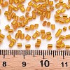 Glass Bugle Beads SEED-S032-08A-29-4