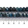 Natural Apatite Beads Strands G-K380-A22-02-5