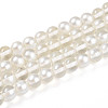 Baking Paint Transparent Glass Beads Strands DGLA-N011-8mm-01-1