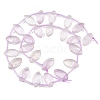 Natural Amethyst Beads Strands G-P607-A05-01-3