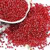 Baking Paint Silver Lined Glass Seed Beads SEED-H003-09C-1