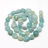 Natural Amazonite Beads Strands G-R445-8x10-21-2