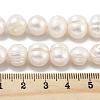 Natural Cultured Freshwater Pearl Beads Strands PEAR-C003-20C-5