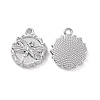 Alloy Pendants LS-FIND-A023-07P-1