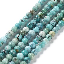 Natural HuBei Turquoise Beads Strands G-M411-A02-02