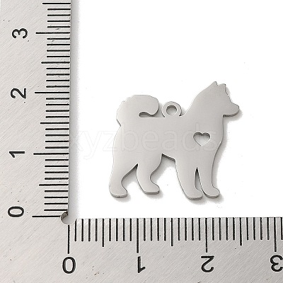 Non-Tarnish 304 Stainless Steel Pendants LS-STAS-O005-13P-1