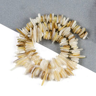 Natural Trochus Shell Beads Strands BSHE-H109-08-1