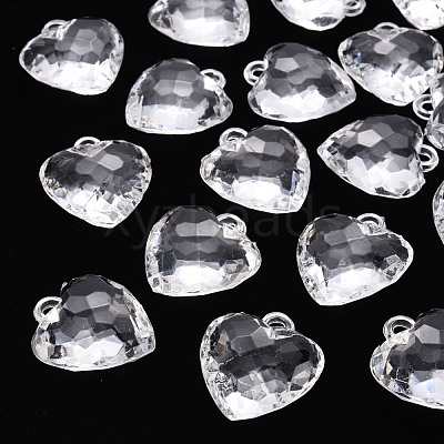 Transparent Acrylic Pendants TACR-T024-03B-205-1