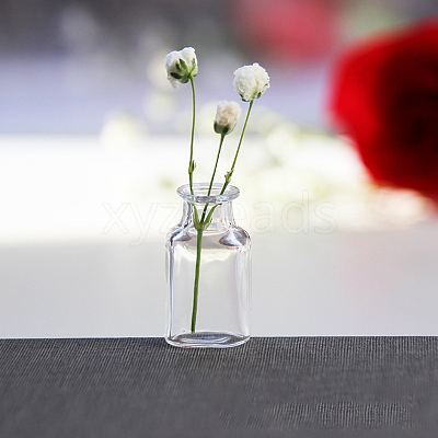 Transparent Miniature Glass Vase Bottles BOTT-PW0006-04A-1