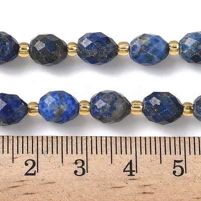 Dyed Natural Lapis Lazuli Beads Strands G-F809-A35-01-1