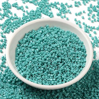 Opaque Glass Seed Beads SEED-S042-22B-04-1