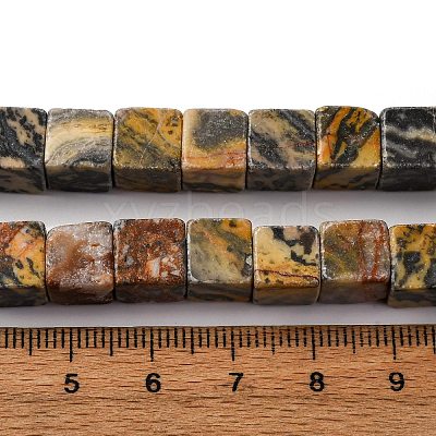 Natural Map Stone Beads Strands X-G-T139-8x8-45B-1