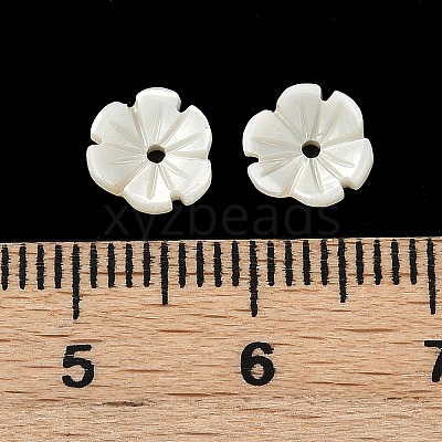 Natural Trochus Shell Flower Charms SHEL-K006-46A-1