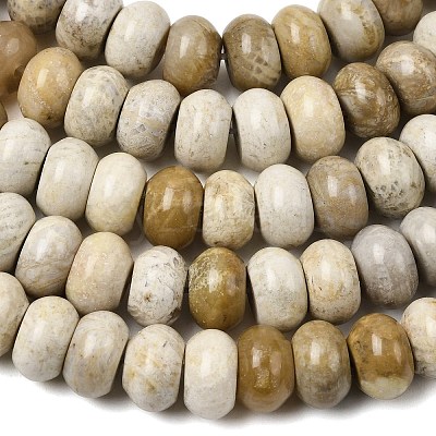 Natural Fossil Coral Beads Strands G-A280-A08-02-1