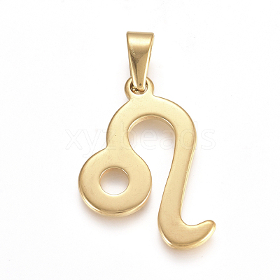 304 Stainless Steel Pendants STAS-L210-06D-G-01-1