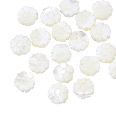 Natural Shell Beads Strands SSHEL-CJ0001-09-1