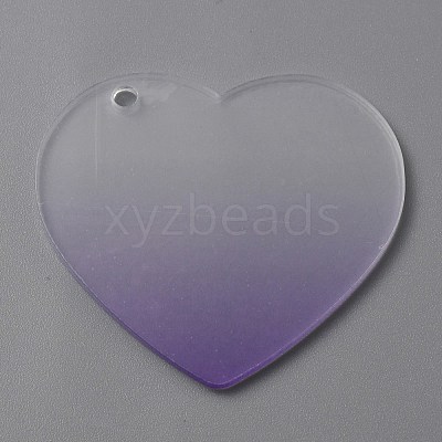 Gradient Transparent Acrylic Disc Big Pendants FIND-WH0032-54E-1