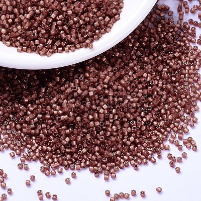 MIYUKI Delica Beads X-SEED-J020-DB2179-1