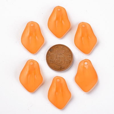 Transparent Frosted Acrylic Pendants MACR-S371-03A-724-1