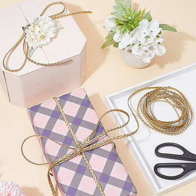 Flat PU Leather Braided Cord OCOR-WH0086-87B-01-1