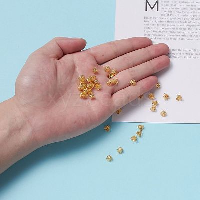 Iron Bead Caps IFIN-D042-6x4.5-G-1