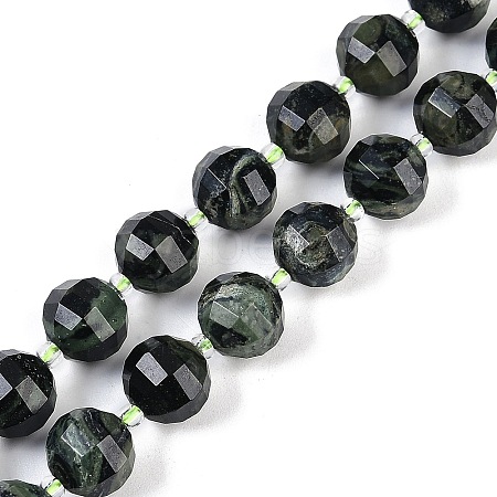 Natural Kambaba Jasper Beads Strands G-G182-B16-05-1