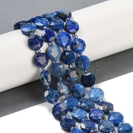 Natural Lapis Lazuli Beads Strands G-C116-A77-01-1