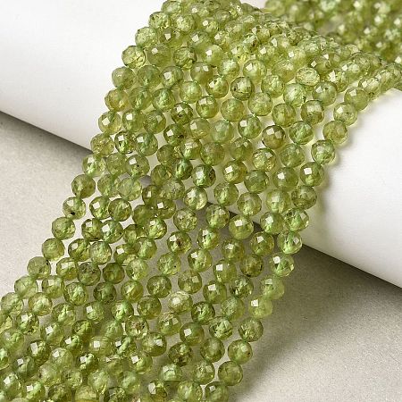 Natural Peridot Beads Strands G-P603-C-4mm-01-1