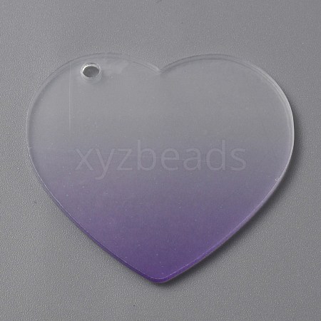Gradient Transparent Acrylic Disc Big Pendants FIND-WH0032-54E-1