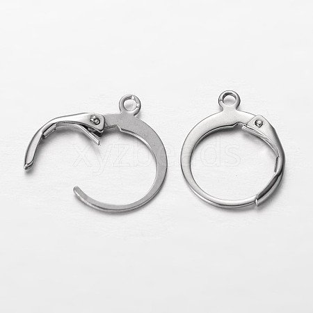 Tarnish Resistant 304 Stainless Steel Leverback Earring Findings X-STAS-I045-02-1